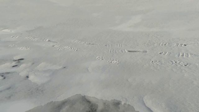 Первый лёд, первый заброс и рыба!!! Карелия!!!