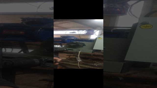 1000053655.mp4