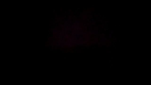 VID_20241205_145433