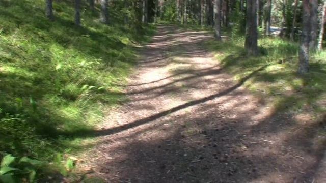 Лебеди озера Каретное