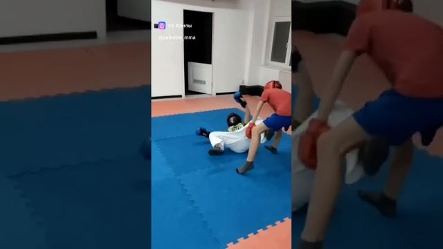 Палестра рукопашный бой