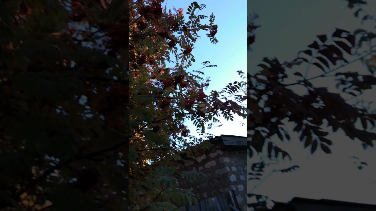 beautifull mood