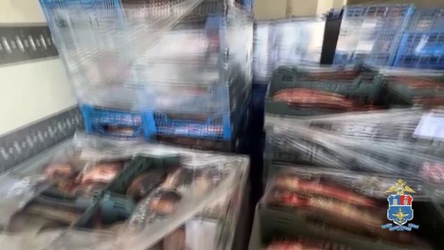 Незаконную торговлю рыбой расследуют транспортные полицейские Северо-Кавказского федерального округа