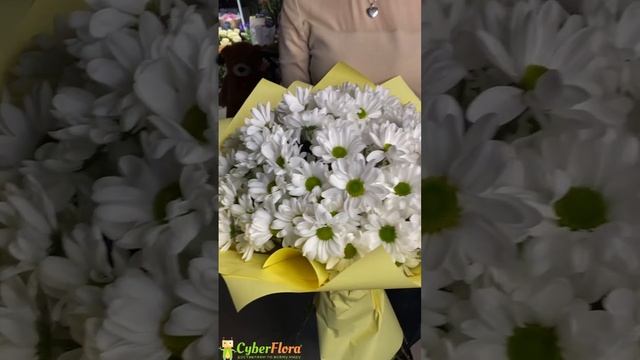 Букет 11 кустовых белых хризантем