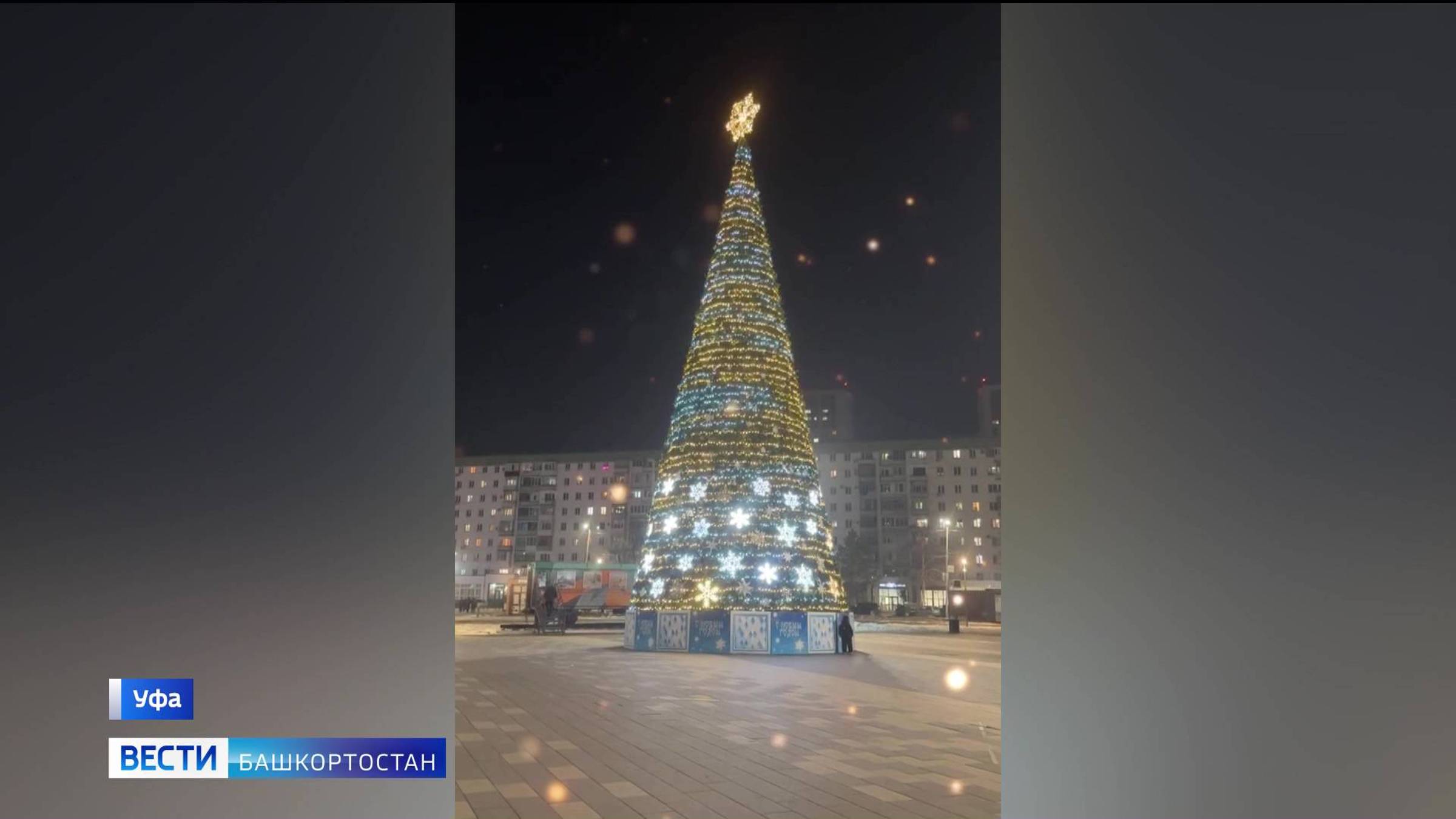В уфимской Деме установили главную елку района