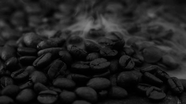 IMG_1552
