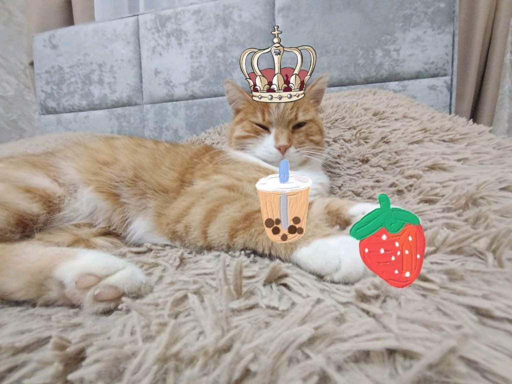 скулбо
