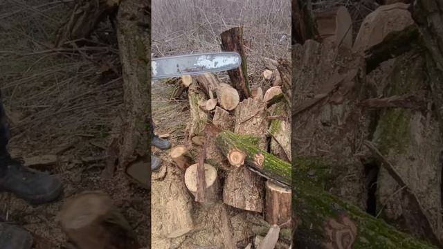 Распиловка дров бензопилой stihl ms361