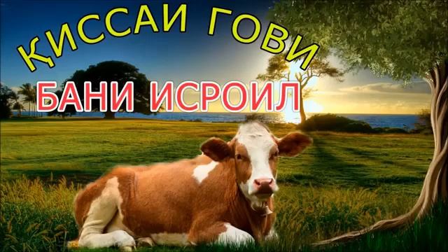 Қисаи гов дар бани исроил