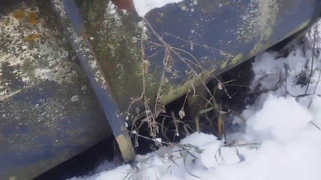 Жатка Кукурузная Doppstadt М30 экспресс-обзор от Николая Нарватова