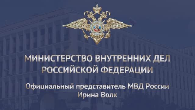 Ирина Волк: Полицейские задержали подозреваемых в тройном убийстве, совершенном в 2005 году