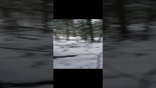 1000015882.mp4