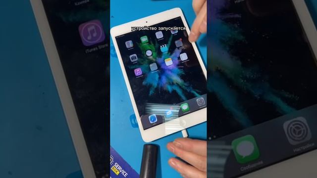 iPad MIni принесли с проблемой: вздут аккумулятор, выдавлен дисплей. Будем менять аккумулятор!