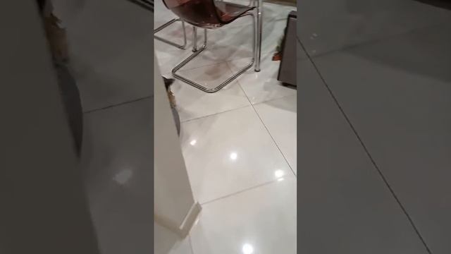 Подарок Арчику