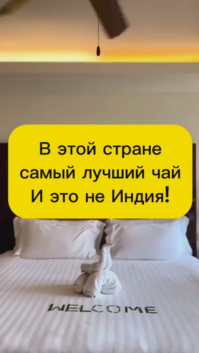 В КАКОЙ СТРАНЕ САМЫЙ ЛУЧШИЙ ЧАЙ?