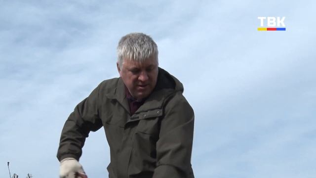 «Зеленую» полосу создали ургунские школьники вместе с группой «Сибантрацит»