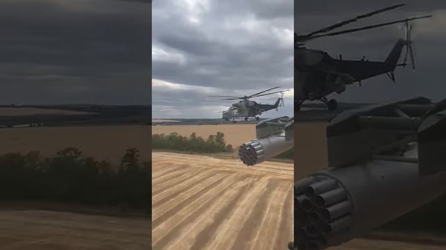 Эх дороги, пыль да тууман...