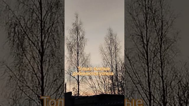 К успеху