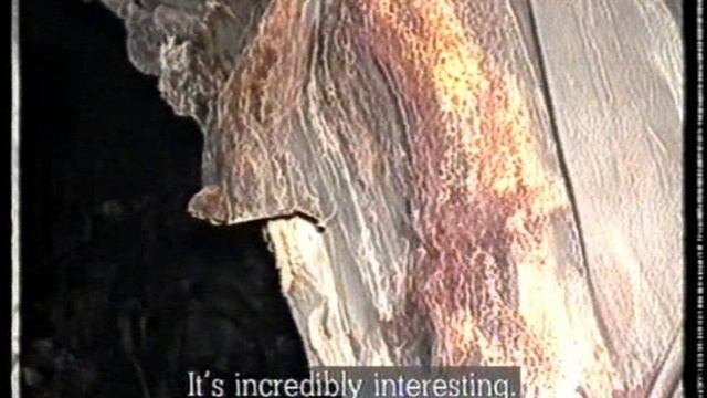 BBC Внутри Чернобыльского Саркофага (Horizon)