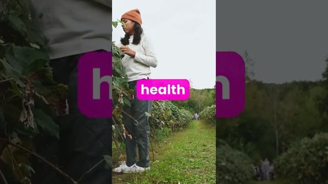 Grapes Unveiled: Health Boosting Power of Antioxidants! 🍇💪 #grape #plants #benefits #health #viral