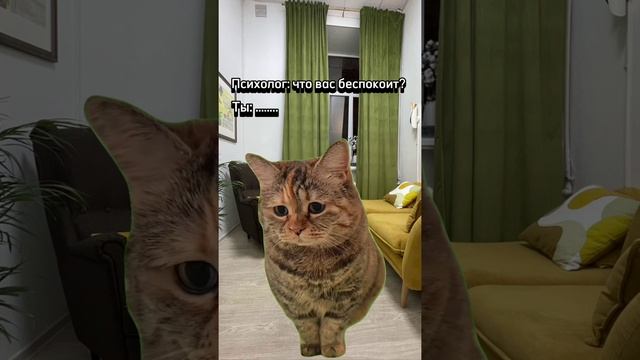 юмористический уголок психолога:)