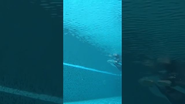 Как плавать под водой Дельфином или Русалкой. 3-я часть. Тизер. Видео польностью смотрите во вкладк