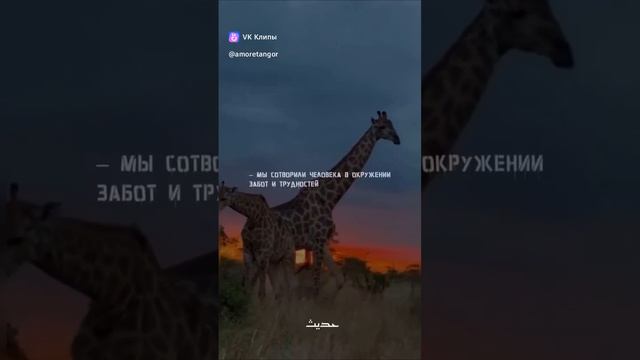 1000001267.mp4