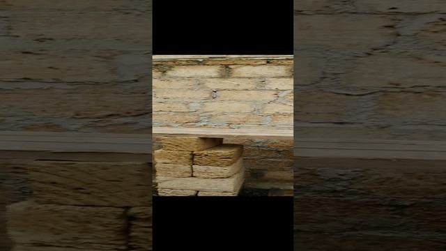 VID_20230531_080132.mp4
