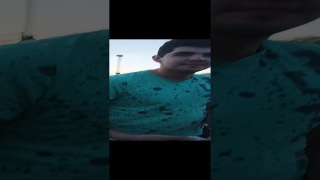 медуза Межводное , собираем ракушки