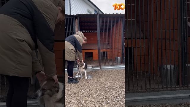 С днём волонтера! ❤️