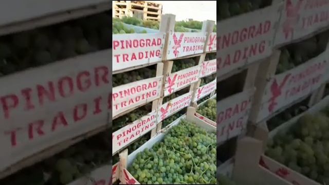 Вот такой он труд и забота