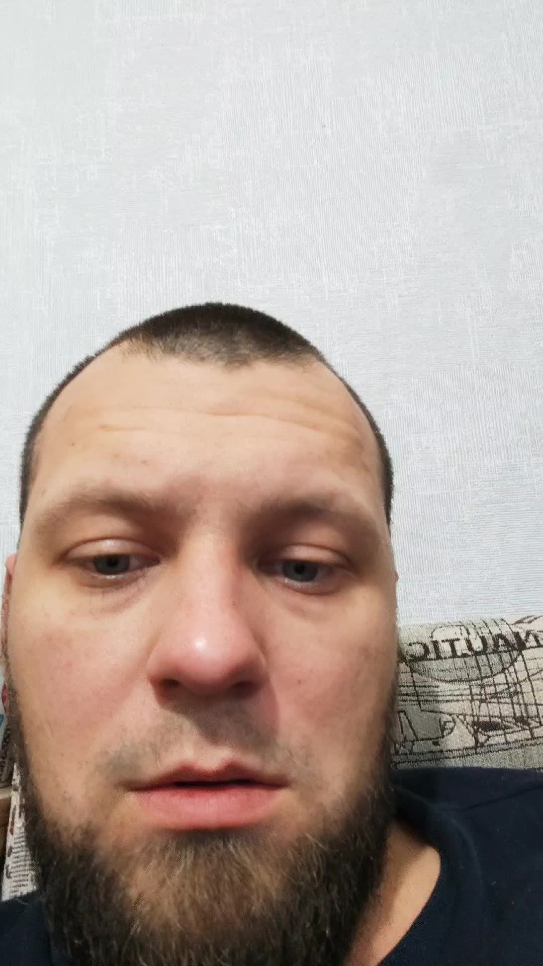 чайку