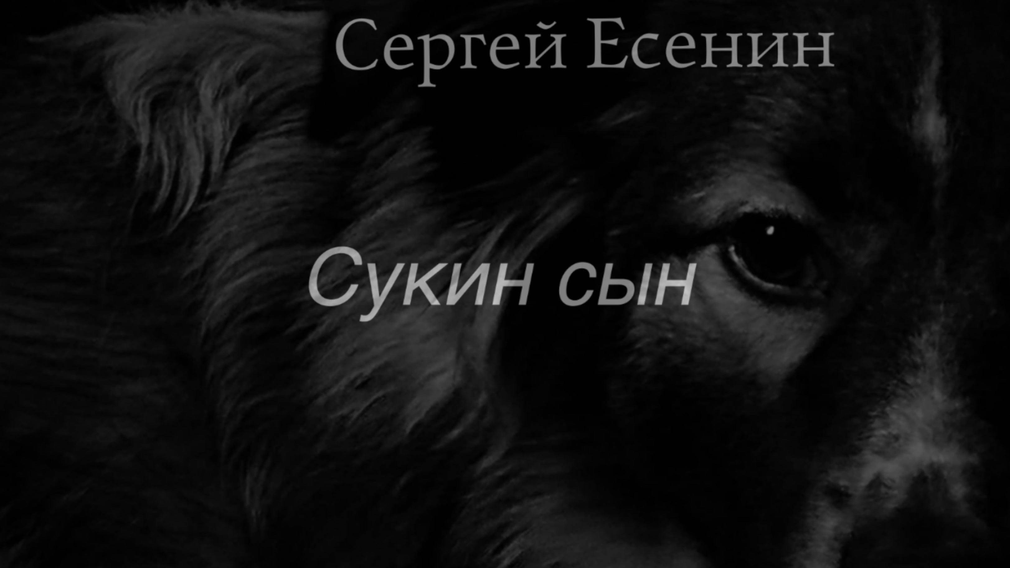 Сергей Есенин.Сукин сын