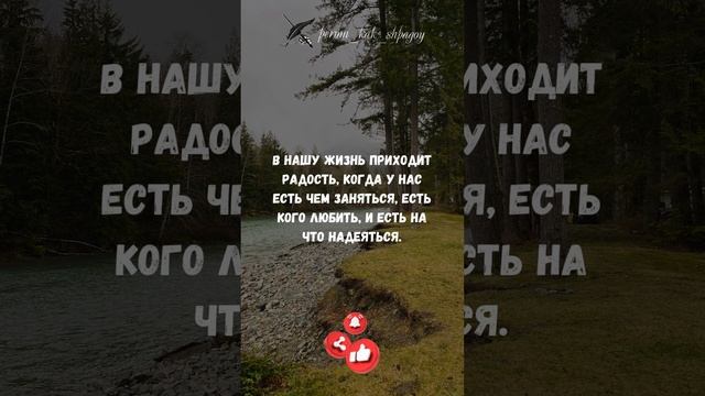 Мудрость и гармония.