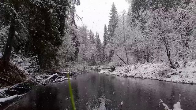 ❄ Снежный рай : отдых 🔥 в лесу 🌲