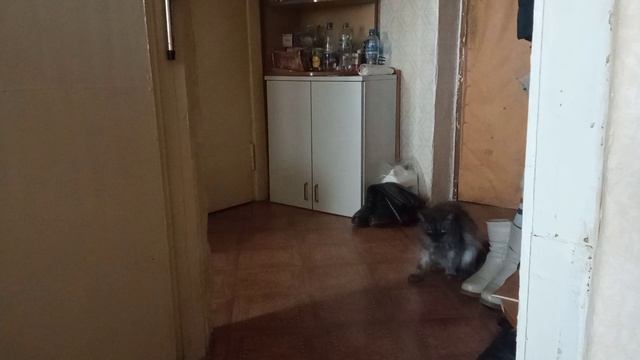 И снова Соня