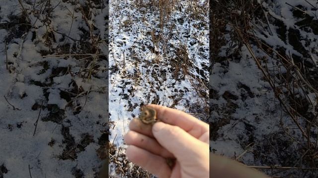 ещё не последний коп