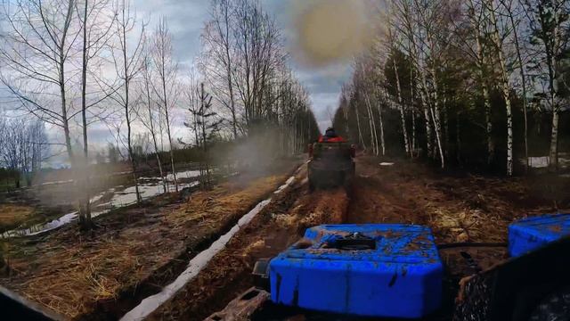 2024-2. Весенний гряземес