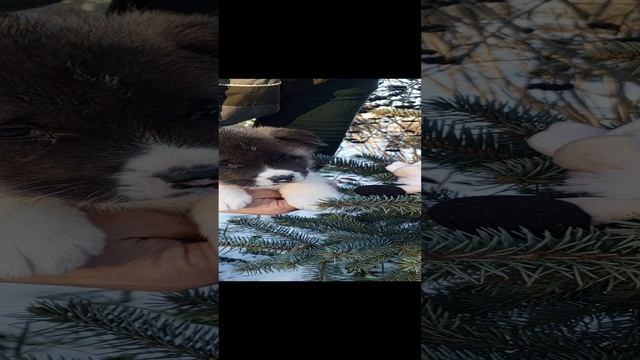 1000011970.mp4