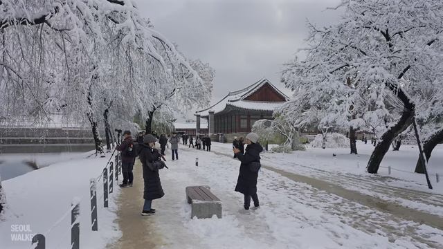 A Day in Gyeongbokgung Palace that has Become a White Kingdom ｜ Seoul Winter Snow