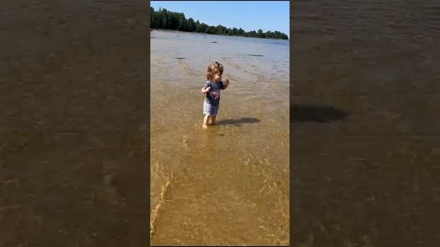 7d623a5d-6515-4ca6-86ae-42c014ebd097-1_all_23324.mp4