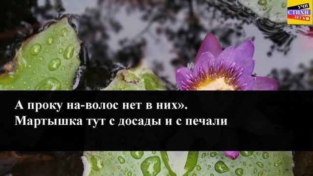 И.А. Крылов Мартышка и очкиУчи стихи легко КараокеАудио Стихи Слушать Онлайн