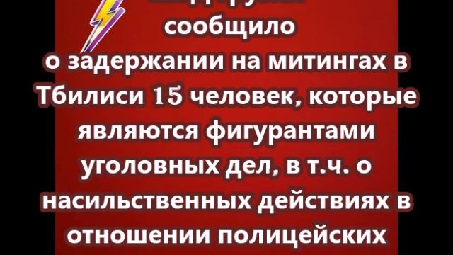 МВД Грузии сообщило о задержании на митингах в Тбилиси 15 человек