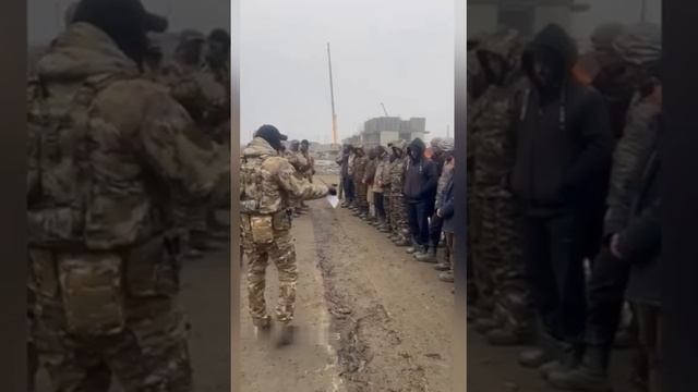 Гражданство РФ через статус участника СВО