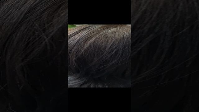 1000069639.mp4
