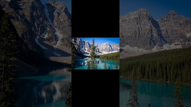 1000012758.mp4