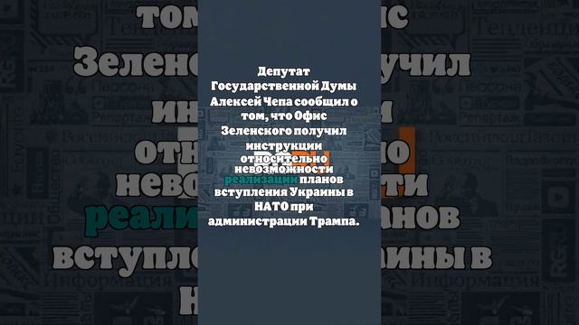 Депутат ГД Чепа: офис Зеленского получил указания от команды Трампа в США