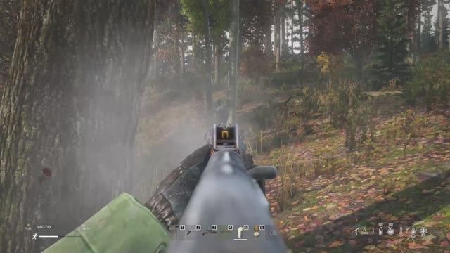 Новости DayZ
