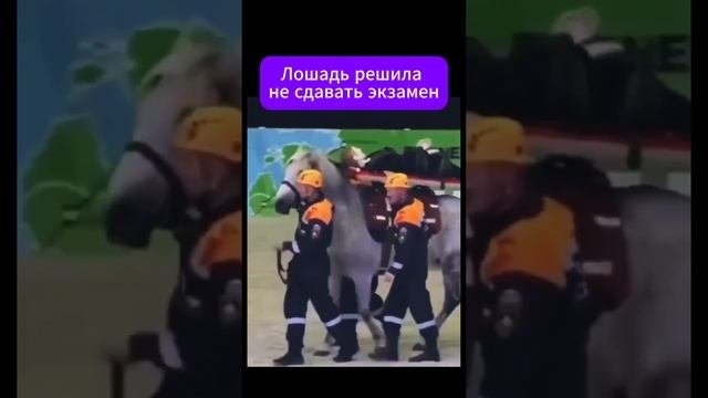 На это можно смотреть бесконечно