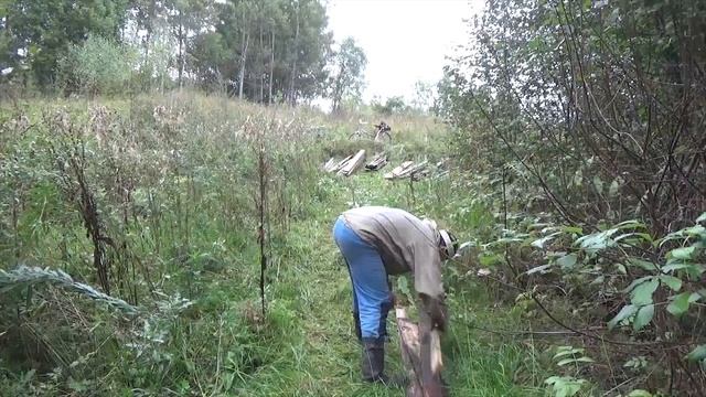 У Соседа Беседку После Урагана Разбираем с Зрителями Моего Канала - Часть 1 - 2022